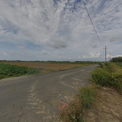 七股十一份樹林運農地
